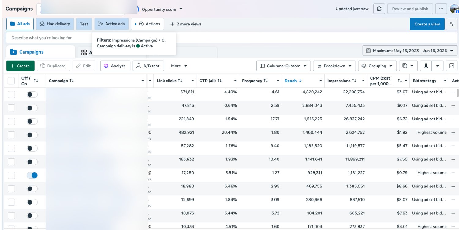 Live ad-account performance — client names blurred for privacy